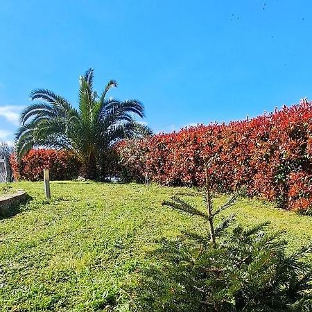 La Bella Addormentata Acomodação com café da manhã Chieti Exterior foto