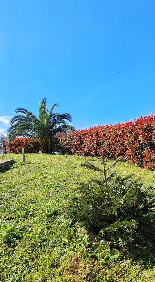 La Bella Addormentata Acomodação com café da manhã Chieti Exterior foto